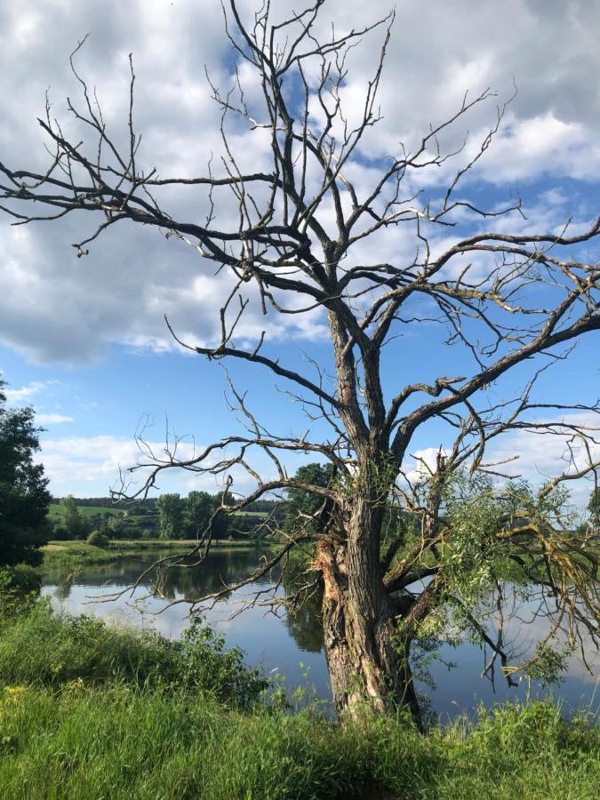 Idyllische Ferienwohnungen In Mossendorf ブルクレンゲンフェルト エクステリア 写真